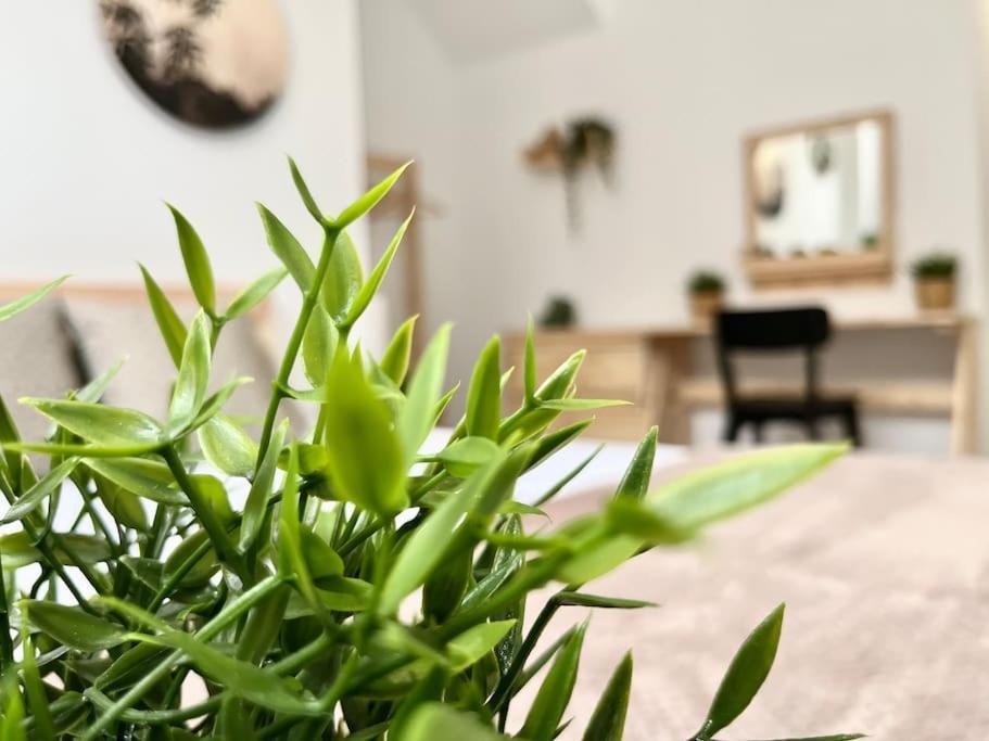 Apartamento Vive Zaragoza V ภายนอก รูปภาพ